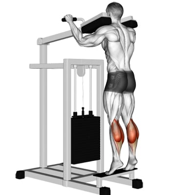 Commercial Seated Calf Raise 15