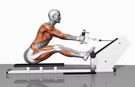 Equipamento de ginástica 5 em 1 9