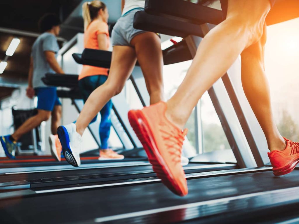 الدليل الشامل لمنتدى أصحاب الصالات الرياضية 4 الدليل الشامل لمنتدى أصحاب الصالات الرياضية 4