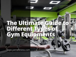 The Ultimate Guide To Different Types Of Gym Equipments 8
