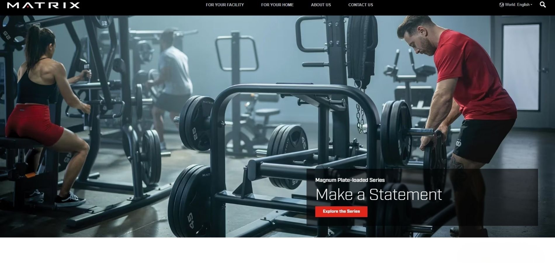 Top 9 American Gym Equipment Brands 6
