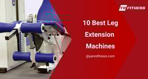 10 Best Leg Extension Machines 3