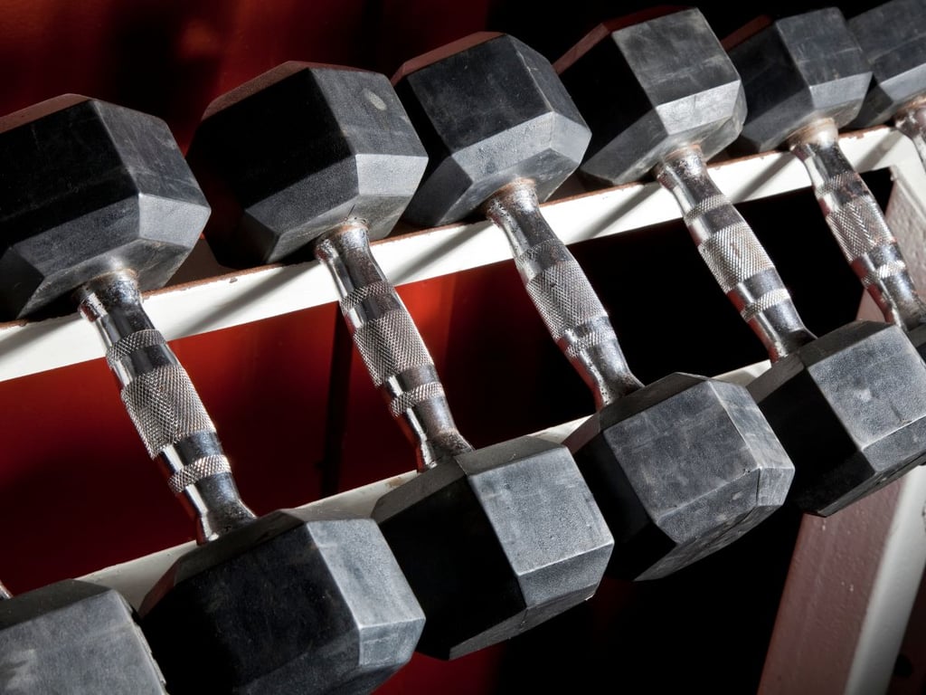 How Much Do Dumbells Cost? 2
