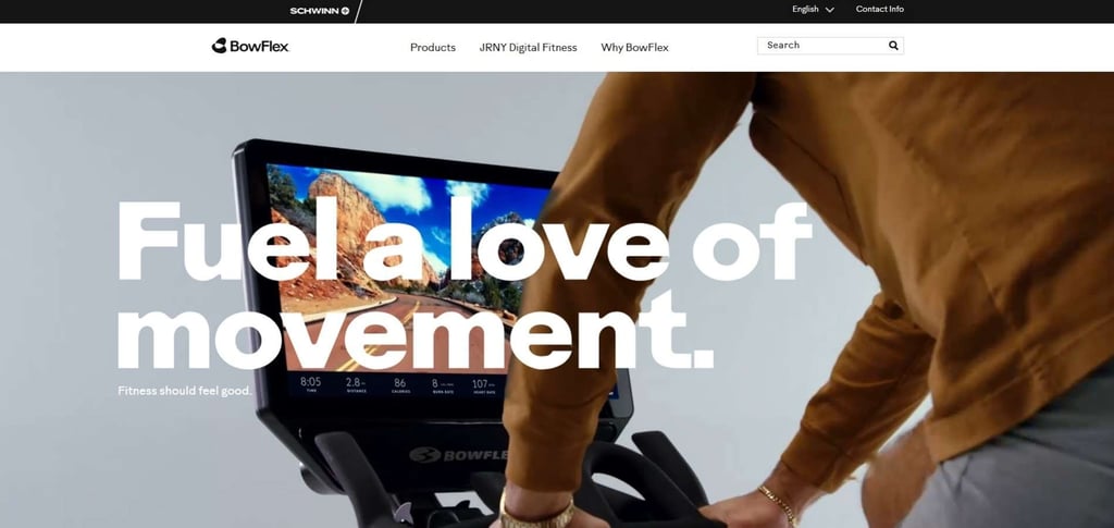 Best 30 Recumbent Bike Companies Across The Globe 13 Best 30 Recumbent Bike Companies Across The Globe 13