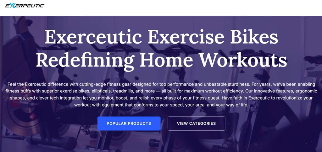 Best 30 Recumbent Bike Companies Across The Globe 17 Best 30 Recumbent Bike Companies Across The Globe 17