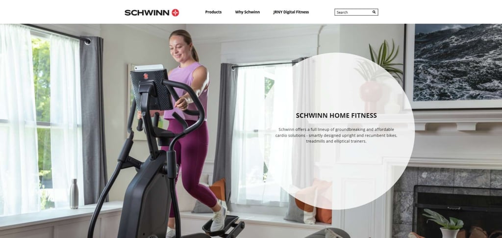 Best 30 Recumbent Bike Companies Across The Globe 26 Best 30 Recumbent Bike Companies Across The Globe 26