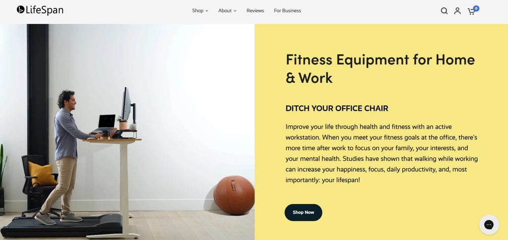 Best 30 Recumbent Bike Companies Across The Globe 31 Best 30 Recumbent Bike Companies Across The Globe 31