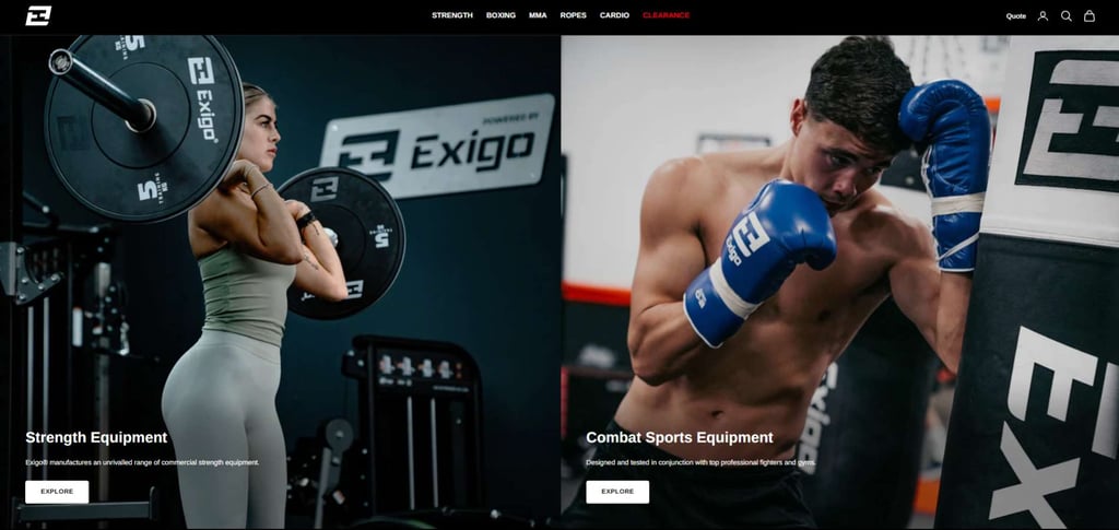 Best 30 Trusted Multi Gym Equipment Manufacturers 21