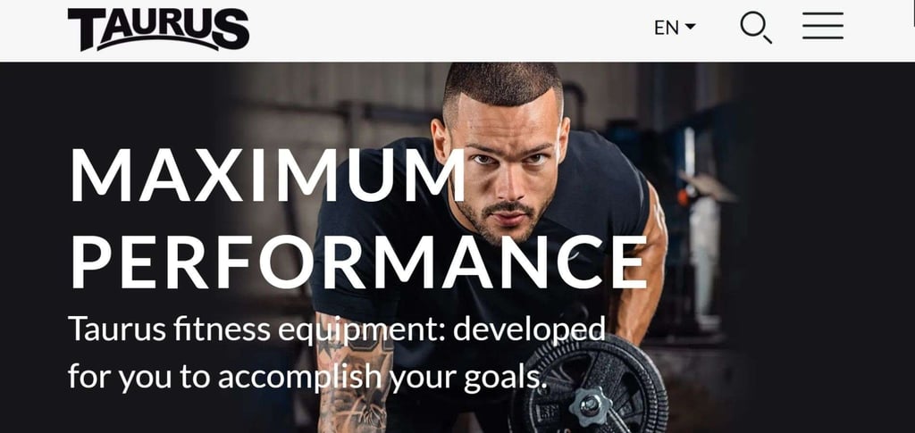 Best 30 Trusted Multi Gym Equipment Manufacturers 25