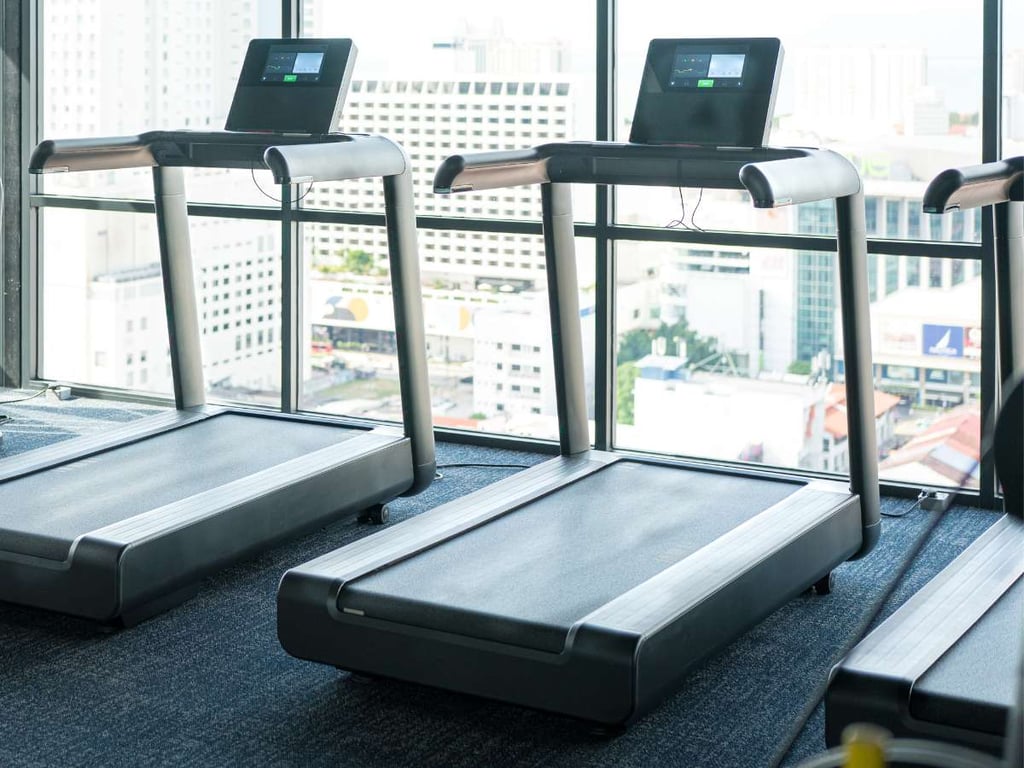 Top 8 Gym Equipment For A Women’s Gym You Should Invest 2 Top 8 Gym Equipment For A Women’s Gym You Should Invest 2