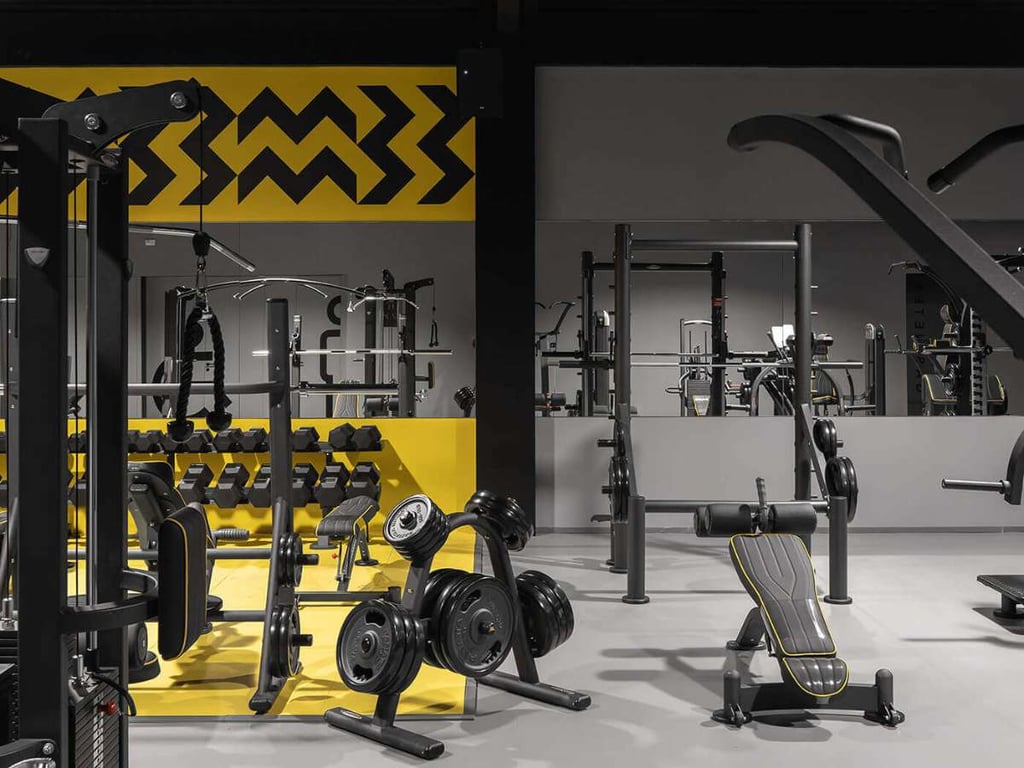 Impulse Fitness Review: A Complete Guide 5 Impulse Fitness Review: A Complete Guide 5