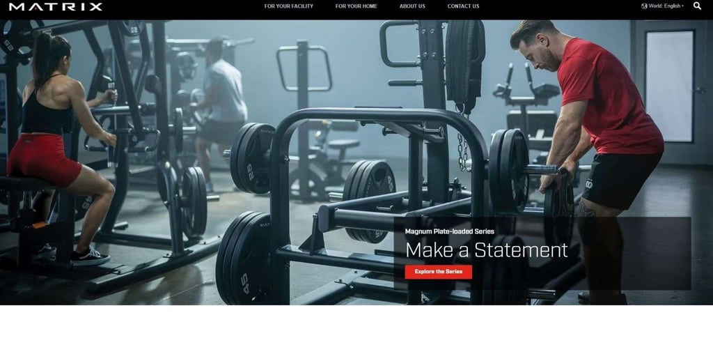 Top 30 Global Manufacturers For Shoulder Press Machines 9 Top 30 Global Manufacturers For Shoulder Press Machines 9