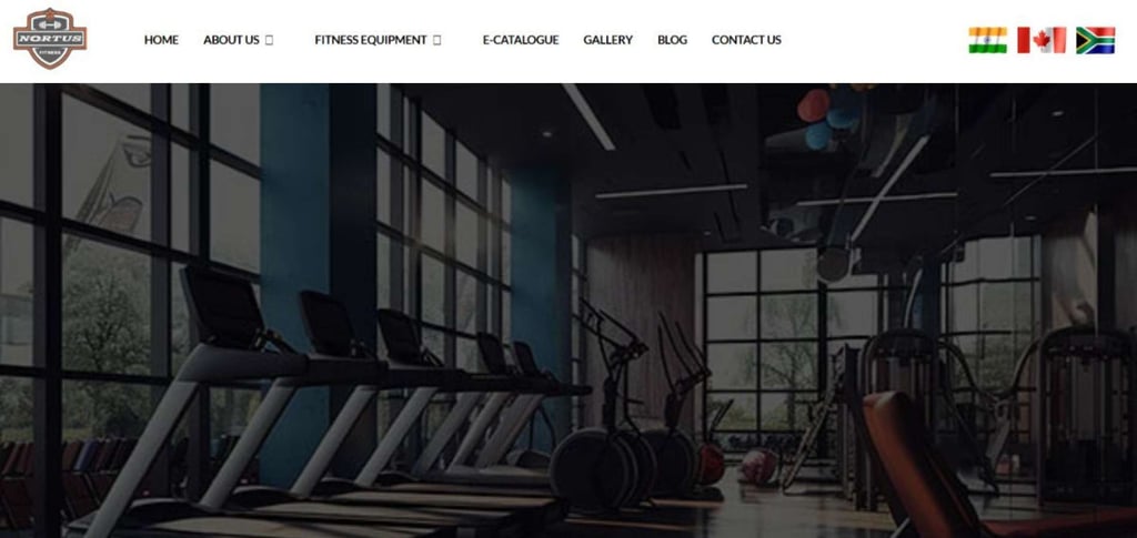 Top 30 Global Smith Machine Manufacturers Shaping The Fitness Industry 27 Top 30 Global Smith Machine Manufacturers Shaping The Fitness Industry 27
