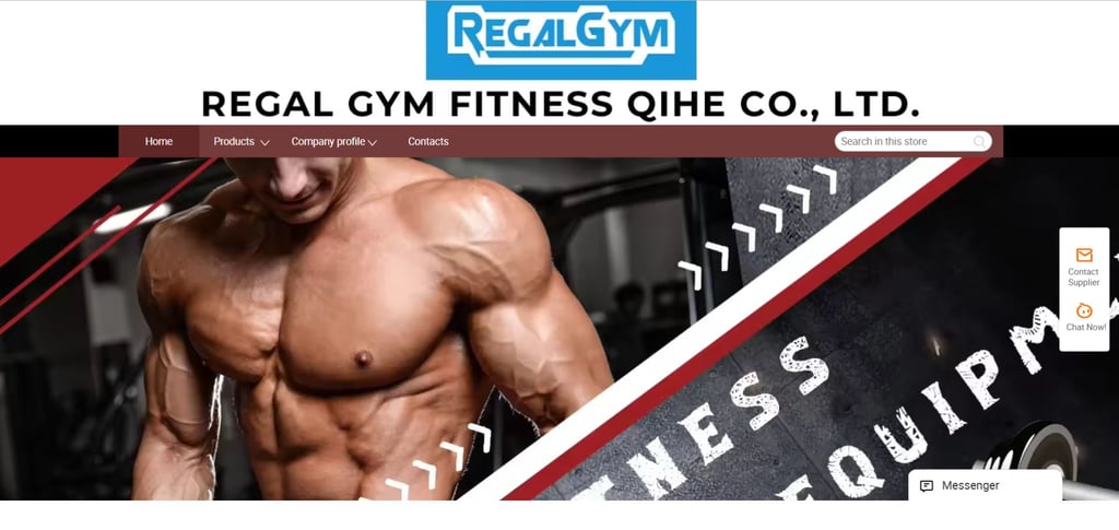 China’s Top 30 Climber Machine Manufacturers 23