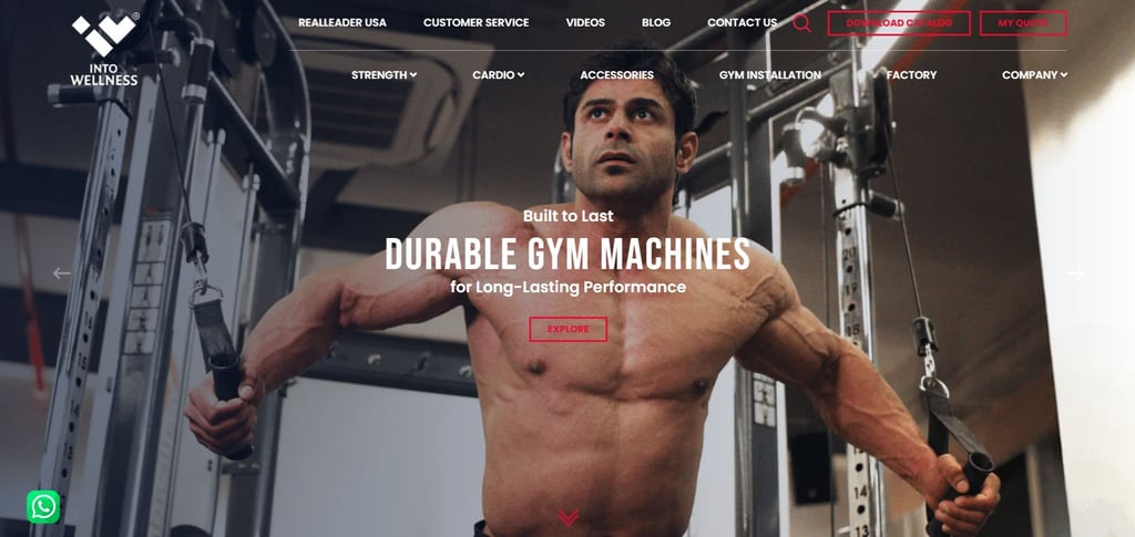 Top 30 Climber Machine Manufacturers Around The World 14