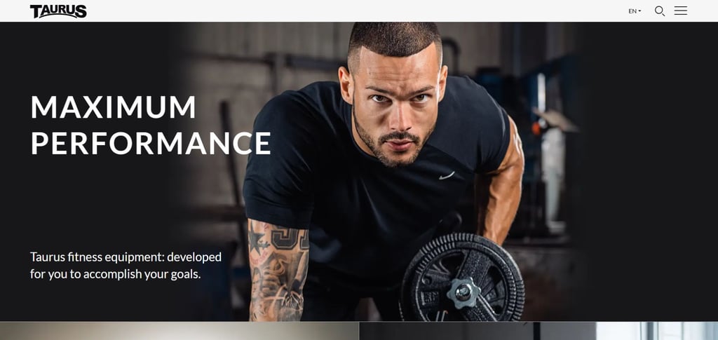 Top 30 Climber Machine Manufacturers Around The World 5