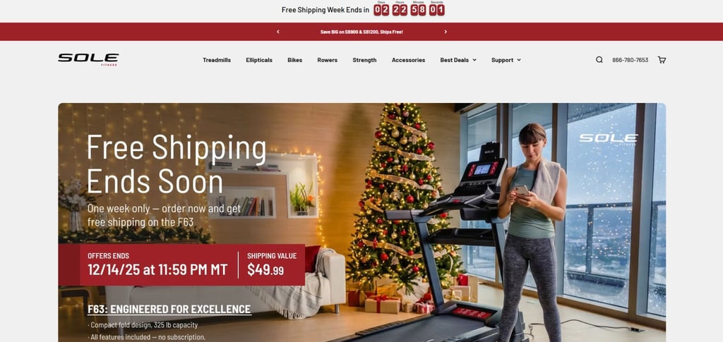 The 30 Best Commercial Treadmill Manufactures For Gyms And Fitness Centers 15