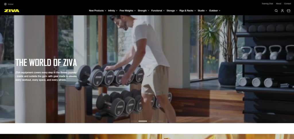 30 Best Custom Gym Equipment Manufacturers For Your Fitness Business 27 30 Best Custom Gym Equipment Manufacturers For Your Fitness Business 27