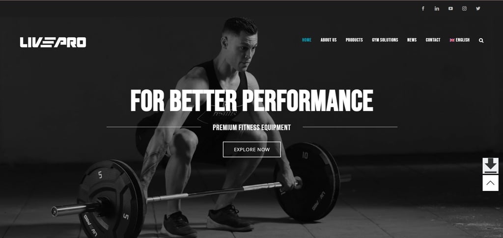 Top 30 Elliptical Trainer Manufacturers In China You Should Know 30