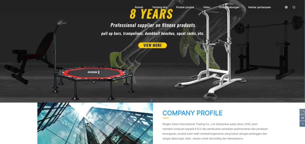 30 Best Commercial Fitness Equipment Suppliers In China For Your Gym 25