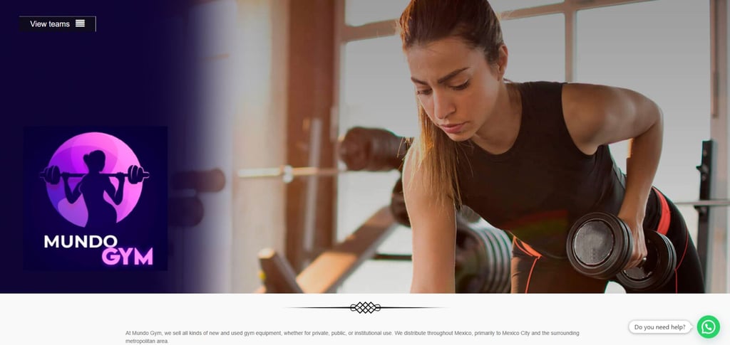 Os 30 principais fabricantes mexicanos de equipamentos de ginástica que você precisa conhecer 21