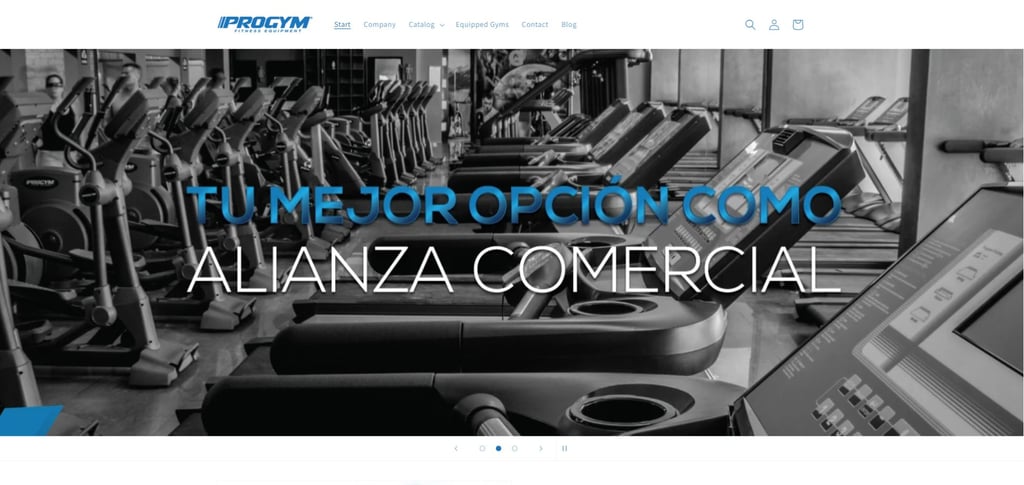Os 30 principais fabricantes mexicanos de equipamentos de ginástica que você precisa conhecer 26