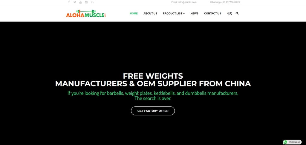 30 Leading Kettlebell Manufacturers In China Every Fitness Brand Should Consider 8 30 Leading Kettlebell Manufacturers In China Every Fitness Brand Should Consider 8