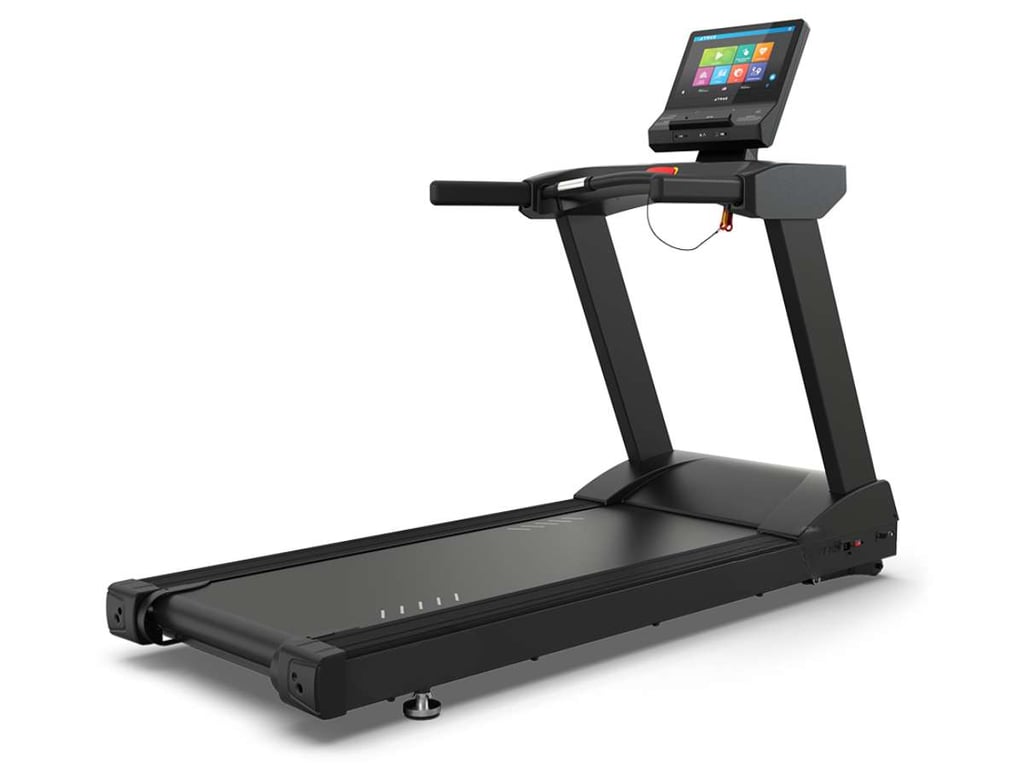 8 Best Gym Equipment For School And University Gyms 2 8 Best Gym Equipment For School And University Gyms 2