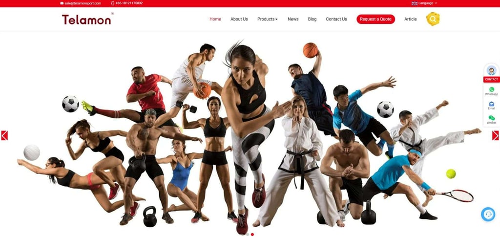 China'S Top 30 Resistance Band Manufacturers 24