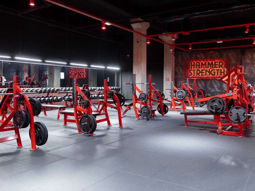 Cybex Alternatives: Life Fitness Vs Precor Vs Hammer Strength 6