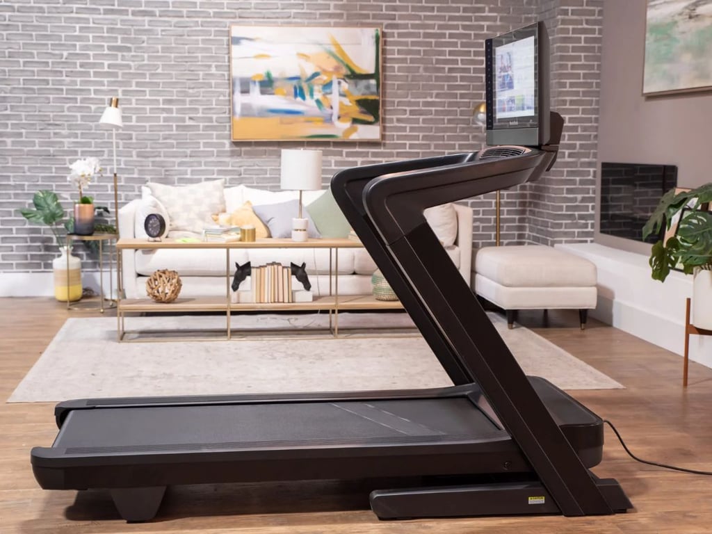 Landice Alternatives: Nordictrack Vs Precor 2