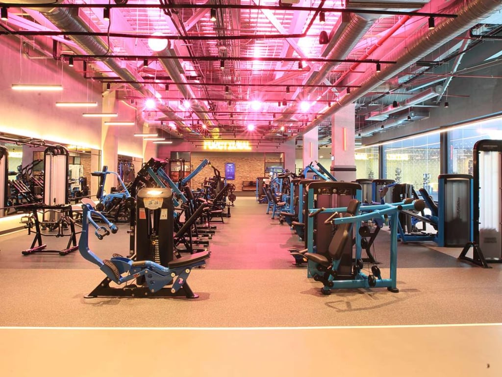 Nautilus Alternatives: Bowflex Vs Life Fitness Vs Technogym 6