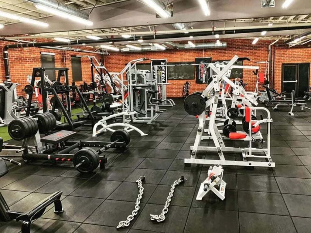 Nuobell Alternatives: Bowflex Vs Ironmaster 5