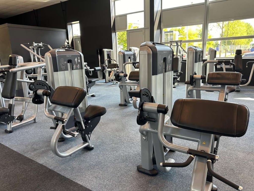 Precor Alternatives: Life Fitness Vs Technogym Vs Cybex 2