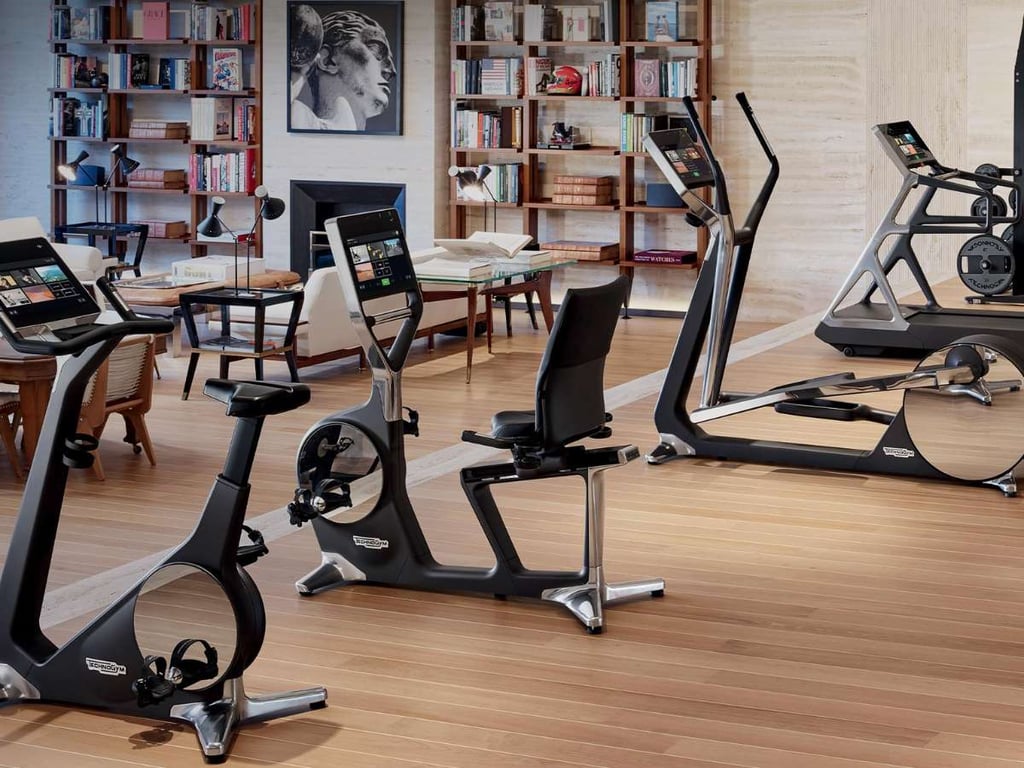 Precor Alternatives: Life Fitness Vs Technogym Vs Cybex 6