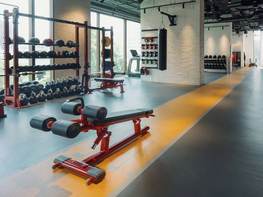 Private Training Studio Vs. Commercial Gym: A Complete Comparison Guide 5 Private Training Studio Vs. Commercial Gym: A Complete Comparison Guide 5