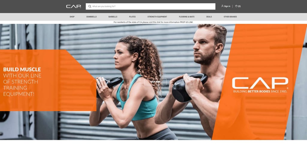 World’s 30 Best Medicine Ball Manufacturers 15