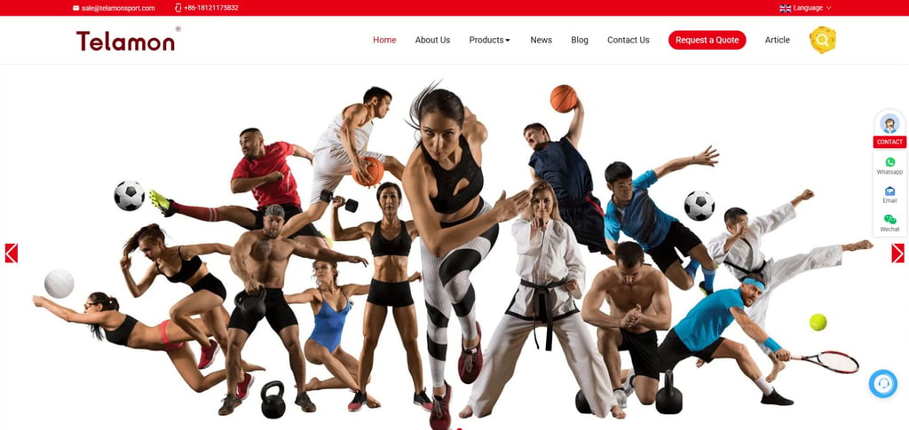 Best Kettlebell Manufacturers Around The World 9 Best Kettlebell Manufacturers Around The World 9