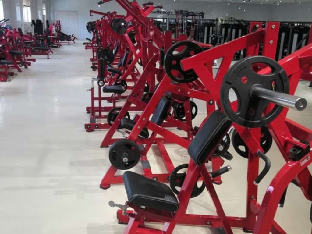 Realleader Fitness Review For Gym Owners 4 Realleader Fitness Review For Gym Owners 4