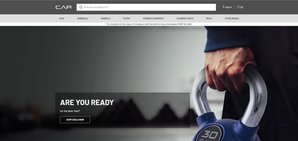 30 Best Weight Plate Suppliers Around The World 18 30 Best Weight Plate Suppliers Around The World 18