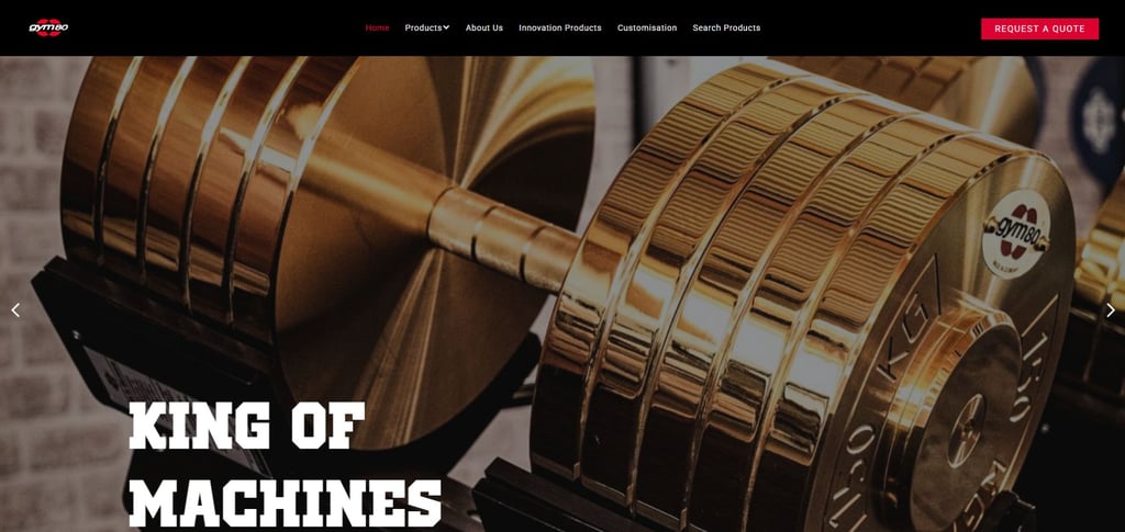 30 Best Weight Plate Suppliers Around The World 9 30 Best Weight Plate Suppliers Around The World 9