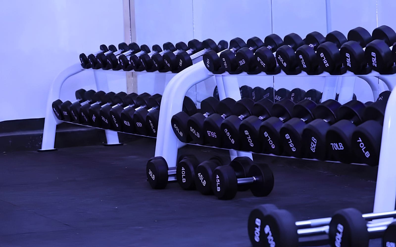 Caato Fitness Gym Project Photo