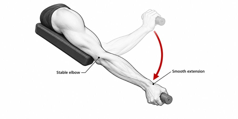 How To Use A Triceps Extension Machine 5 How To Use A Triceps Extension Machine 5